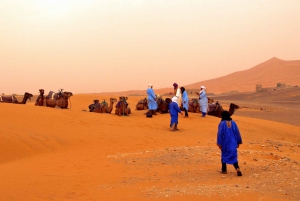 From Marrakech: Sahara Desert 3-Day Group Tour