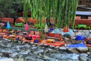 マラケシュ発セッティ・ファトマ＆オウリカ渓谷ツアー（昼食付