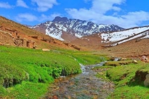 マラケシュ発セッティ・ファトマ＆オウリカ渓谷ツアー（昼食付