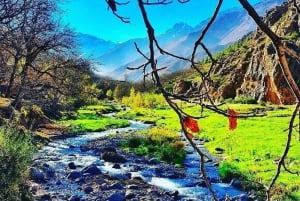 Fra Marrakech: Setti Fatma og Ourika-dalen med lunsj