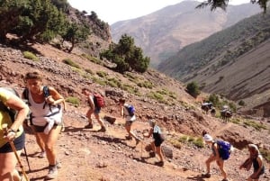 Fra Marrakech: Setti Fatma og Ourika-dalen med lunsj