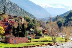 Fra Marrakech: Setti Fatma og Ourika-dalen med lunsj