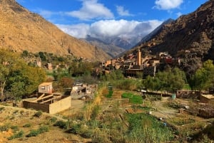 Fra Marrakech: Setti Fatma og Ourika-dalen med lunsj