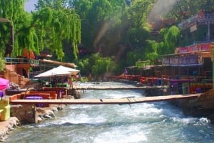 Fra Marrakech: Setti Fatma og Ourika-dalen med lunsj