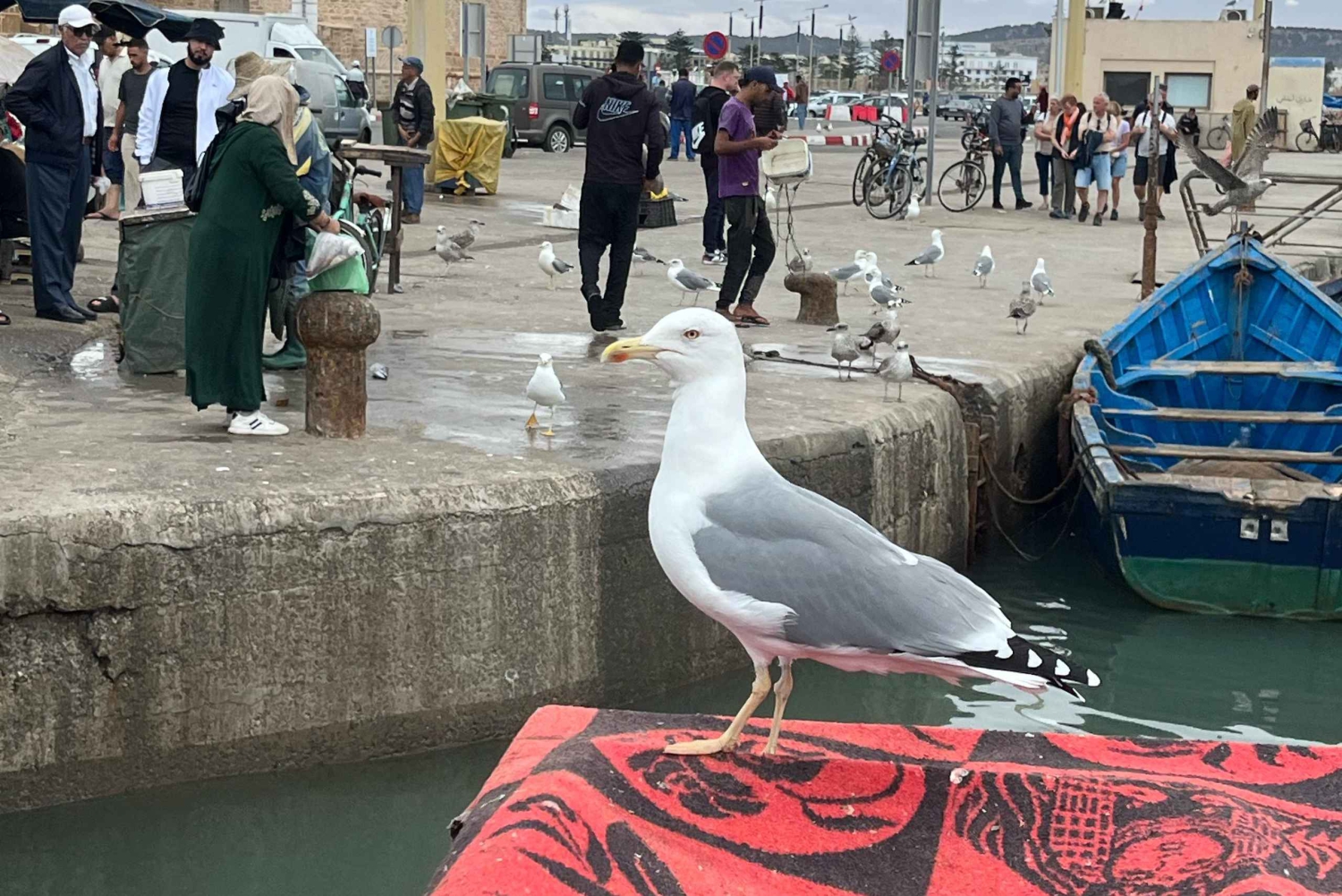 Z Marrakeszu: wycieczka 1-dniowa do As-Sawiry i na plażę w małej grupie