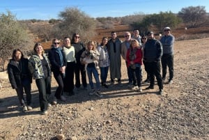 Z Marrakeszu: wycieczka 1-dniowa do As-Sawiry i na plażę w małej grupie