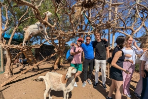 Z Marrakeszu: wycieczka 1-dniowa do As-Sawiry i na plażę w małej grupie