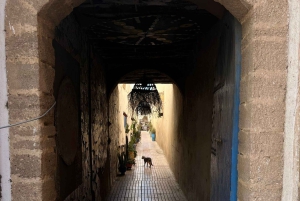 Z Marrakeszu: wycieczka 1-dniowa do As-Sawiry i na plażę w małej grupie