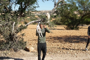 Z Marrakeszu: wycieczka 1-dniowa do As-Sawiry i na plażę w małej grupie