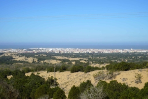 Z Marrakeszu: wycieczka 1-dniowa do As-Sawiry i na plażę w małej grupie