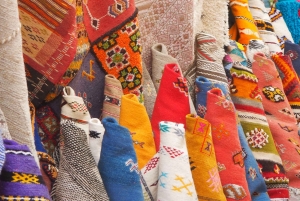 Vanuit Marrakesh: dagtour in kleine groepen naar Essaouira