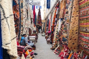 Vanuit Marrakesh: dagtour in kleine groepen naar Essaouira