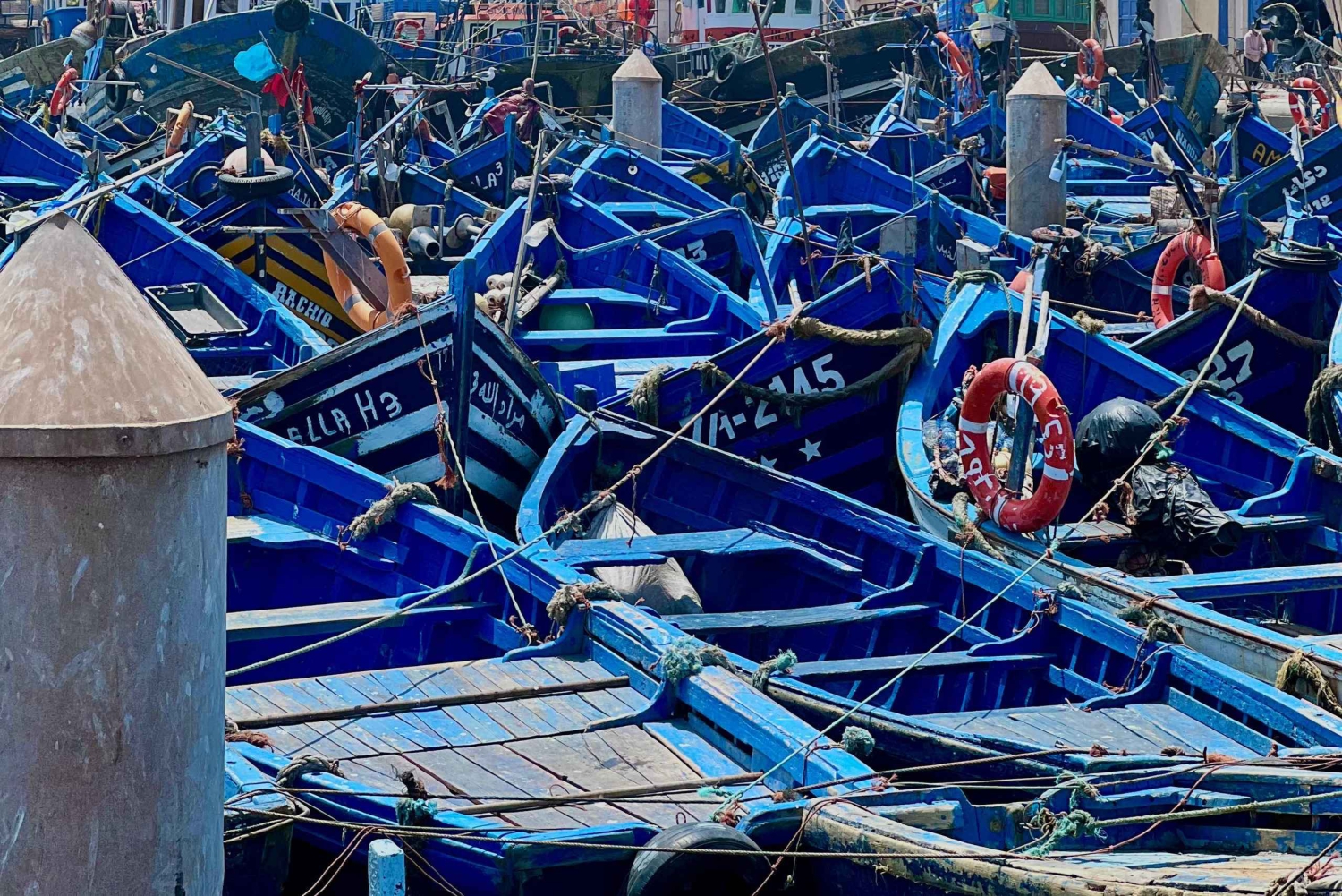 Från Marrakech: dagsutflykt i liten grupp till Essaouira