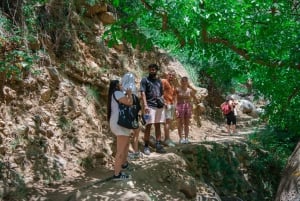 Fra Marrakech: Fantastisk Ourika-dalen og Atlas-tur + lunsj