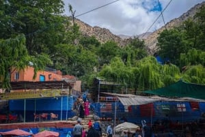 Fra Marrakech: Fantastisk Ourika-dalen og Atlas-tur + lunsj