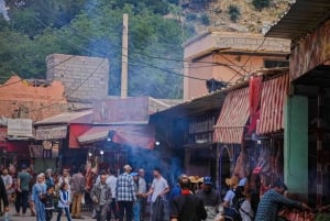 Fra Marrakech: Fantastisk Ourika-dalen og Atlas-tur + lunsj