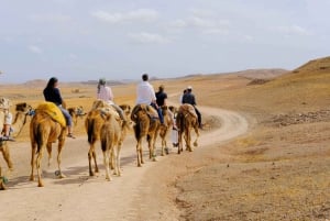 Paseo en camello al atardecer en el desierto de Agafay con cena y piscina