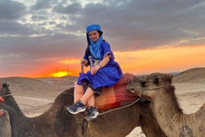 Från Marrakech :Kameltur i solnedgången i Agafayöknen