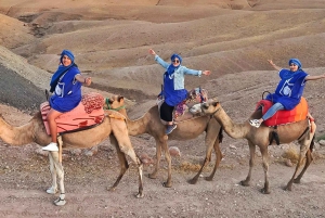 From Marrakech: Sunset Camel Ride in the Agafay Desert