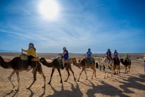 Au départ de Marrakech : Excursion dans le désert au coucher du soleil avec balade à dos de chameau et dîner