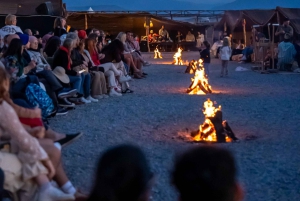 Desde Marrakech: Excursión al Atardecer en el Desierto con paseo en camello y cena