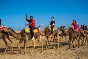 Von Marrakech aus: Wüstentour bei Sonnenuntergang mit Kamelritt und Abendessen