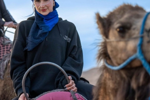 De Marrakech: Passeio ao pôr do sol no deserto com passeio de camelo e jantar