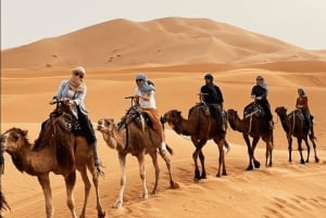 From Marrakech to Chefchaouen via Sahara Desert and Fes