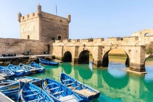Da Marrakech: Escursione a Essaouira con cammello, cavallo e quad