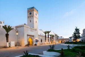 Da Marrakech: Escursione a Essaouira con cammello, cavallo e quad
