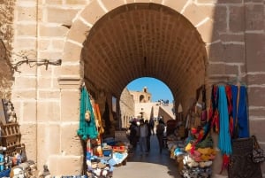 Da Marrakech: Escursione a Essaouira con cammello, cavallo e quad