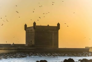Da Marrakech: Escursione a Essaouira con cammello, cavallo e quad