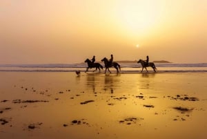 Da Marrakech: Escursione a Essaouira con cammello, cavallo e quad