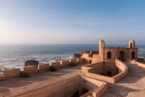 Da Marrakech: Escursione a Essaouira con cammello, cavallo e quad