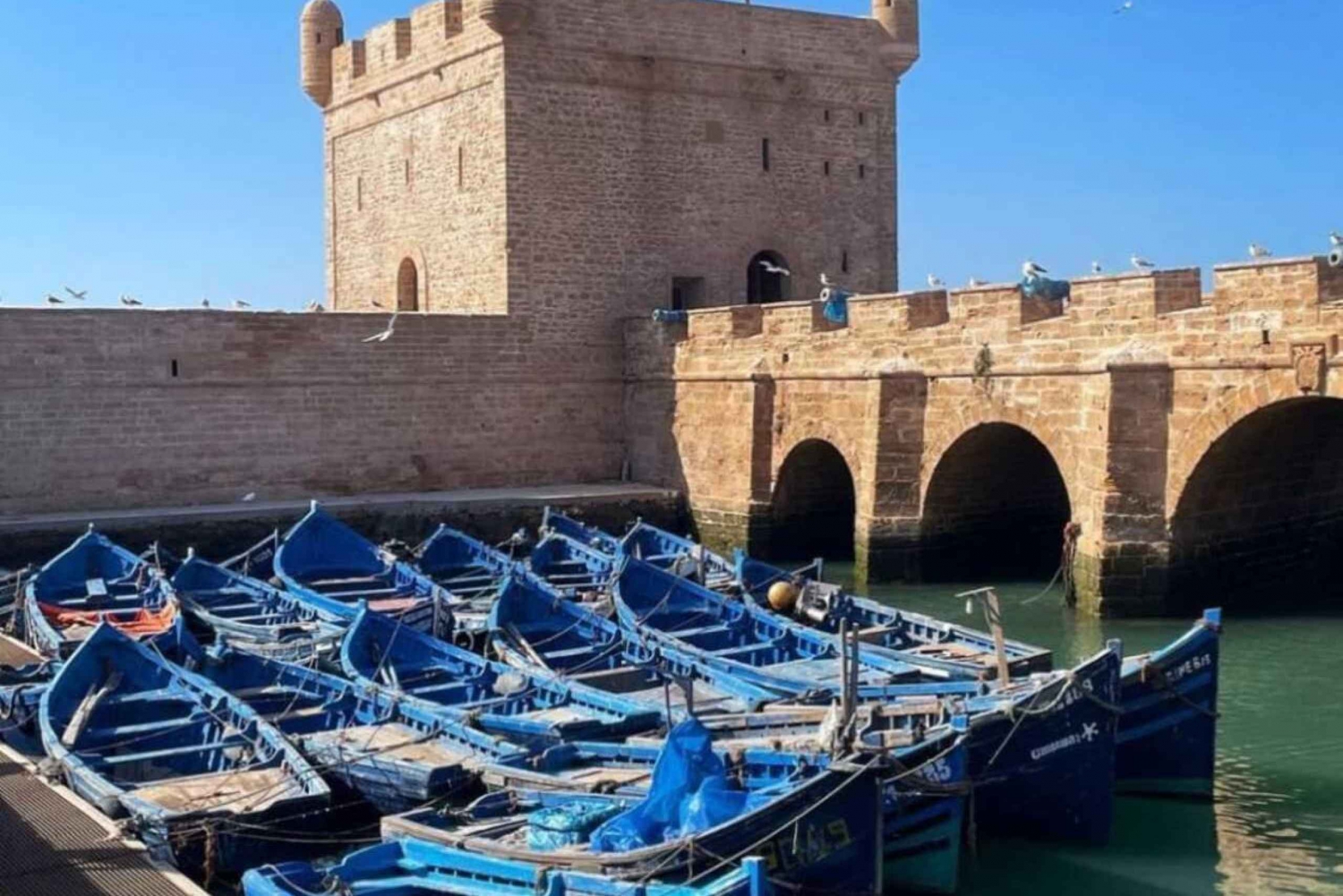 From Marrakech to Essaouira Private Full Day trip