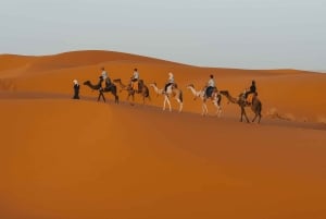 Z Marrakeszu do Fezu: 3-dniowa wycieczka przez Merzugę i luksusowy obóz