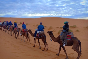 Kolmen päivän retki Marrakechista Fèsiin Saharan autiomaan ja Merzougan kautta
