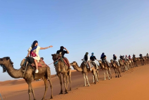 Kolmen päivän retki Marrakechista Fèsiin Saharan autiomaan ja Merzougan kautta