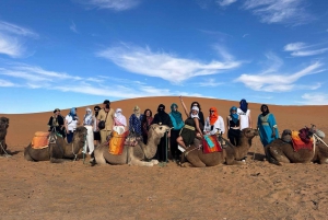 Fra Marrakech: 3-dages tur til Fez via ørkenen Merzouga