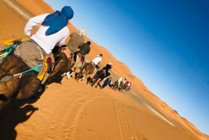 Fra Marrakech til Merzouga: 3-dagers drømmetur og luksusleir