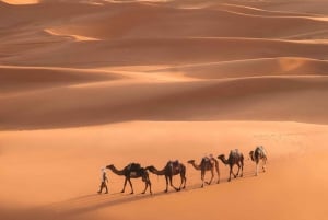 From Marrakech to Merzouga Desert: 3-Day Morocco Sahara Tour