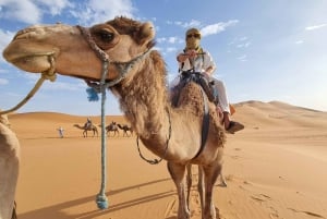 De Marrakech a Merzouga Erg Chebbi: Excursión de 4 días por el desierto