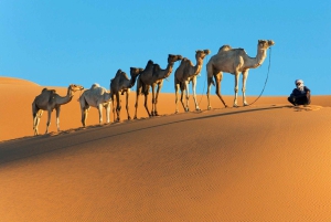 Opastettu 3 päivän Sahara-kierros Marrakechista Merzougaan