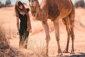 Opastettu 3 päivän Sahara-kierros Marrakechista Merzougaan