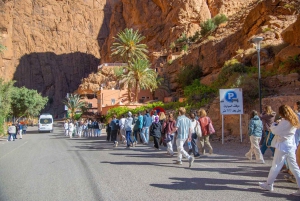 Opastettu 3 päivän Sahara-kierros Marrakechista Merzougaan