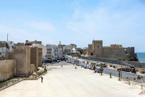 From Marrakech to Oualidia and Safi: A Coastal Day Trip