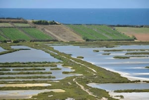 From Marrakech to Oualidia and Safi: A Coastal Day Trip
