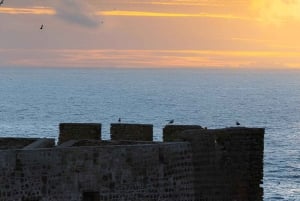 From Marrakech to Oualidia and Safi: A Coastal Day Trip