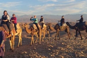 Półdniowa wycieczka po pałacach i zabytkach Marrakeszu