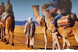 De Marrakech: Excursão de 2 dias ao Deserto de Zagora